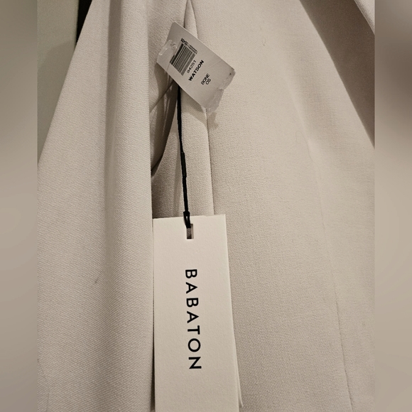 Aritzia Babaton Watson Blazer - Picture 5 of 7